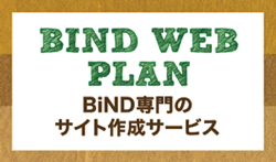 BiNDup専門のサイト作成サービス